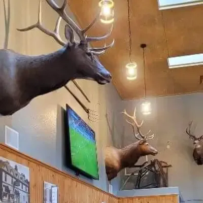 Elk mounts above the dining room